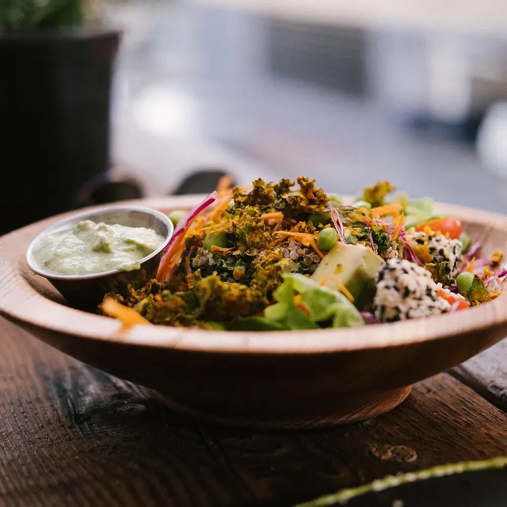 Vegan-And-Plant-Based-Menu-Options-SQ.webp